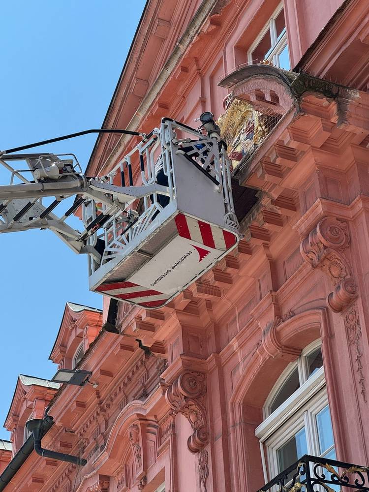 Quelle: Feuerwehr Offenburg