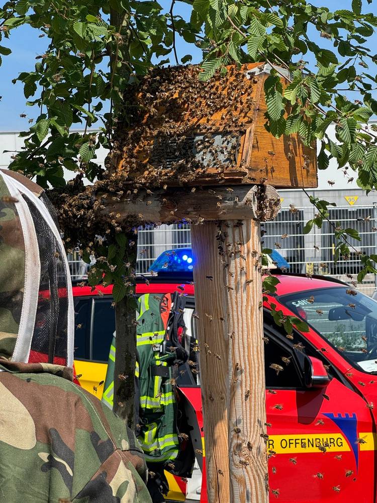 Quelle: Feuerwehr Offenburg